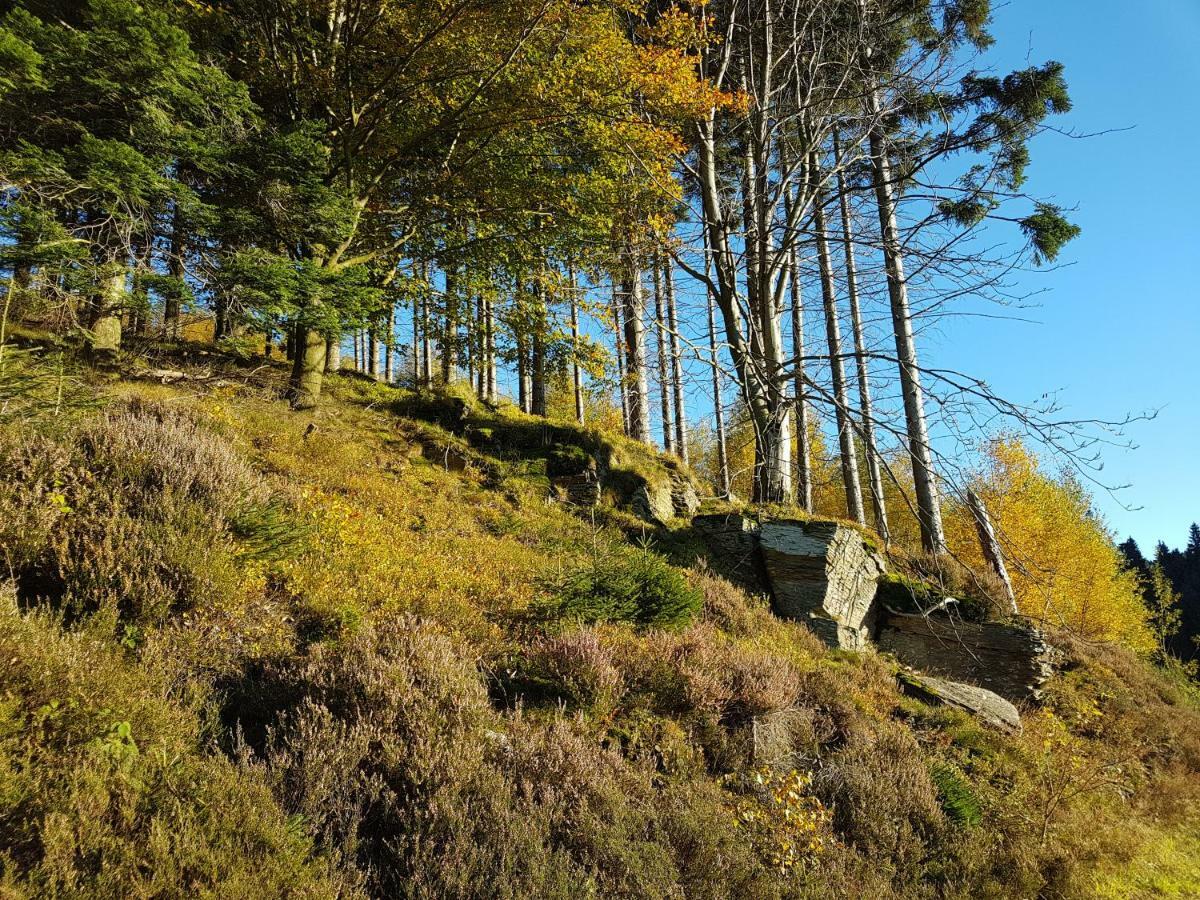 Freundliche Unterkunft Sauerland Meschede Extérieur photo